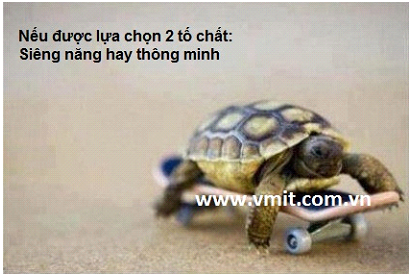 Siêng năng hay thông minh ?
