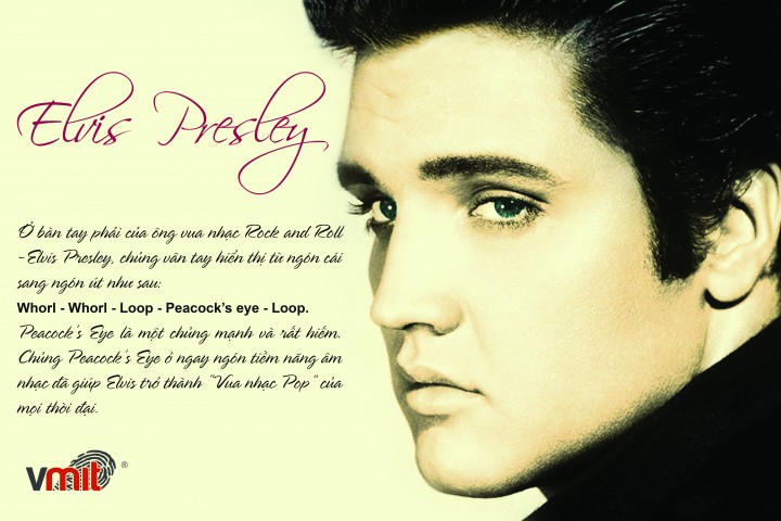 Giới thiệu về Elvis Presley
