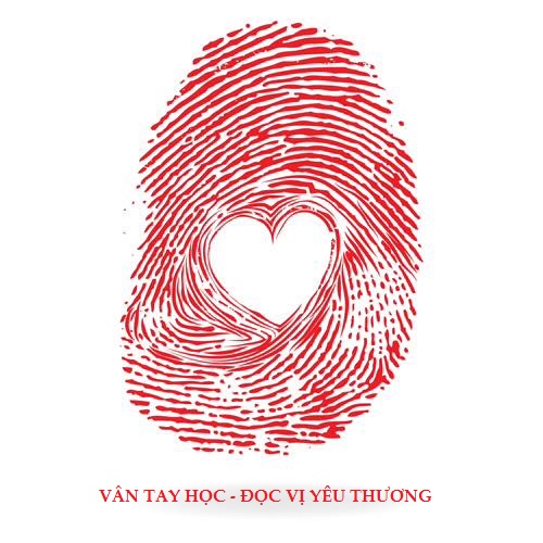 Vân Tay Học – Đọc Vị Yêu Thương