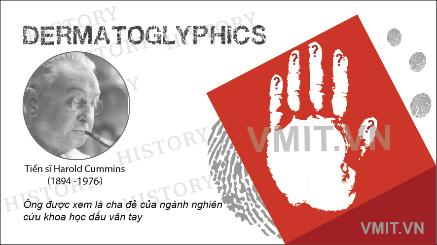Dermatoglyphics là gì?